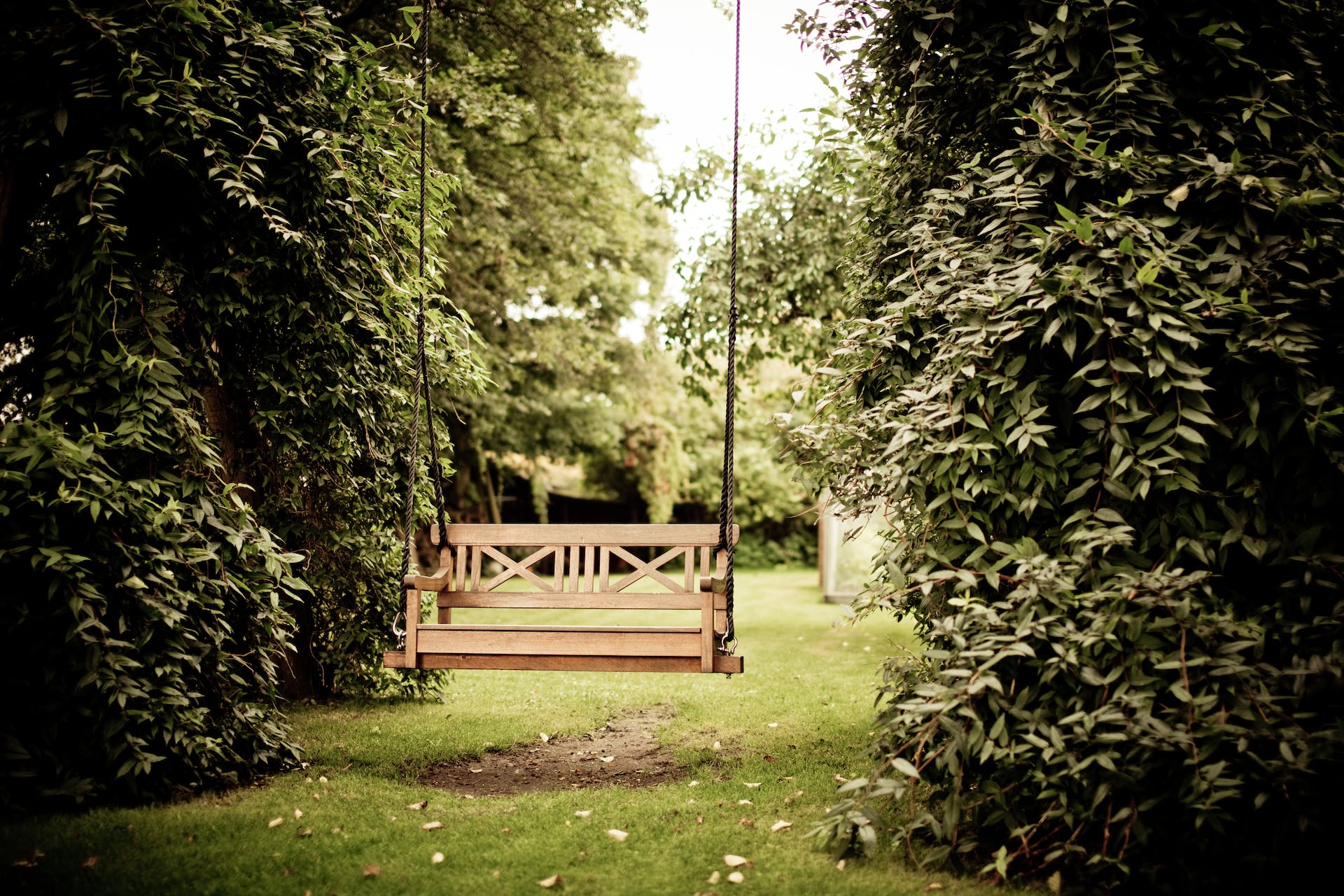 wijzerinmijntuin - header