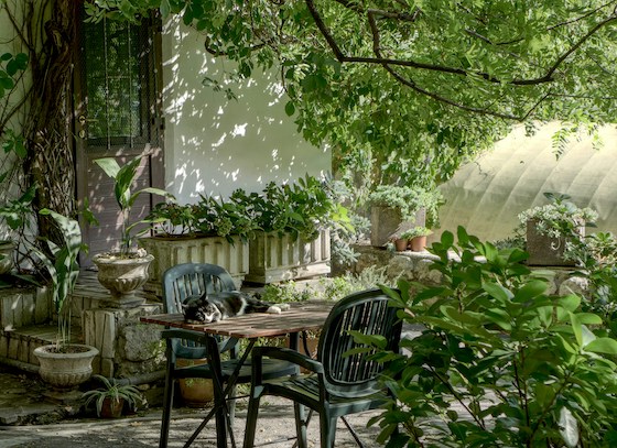Tuin
